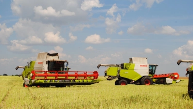 В Липецкой области началась уборка масличных культур