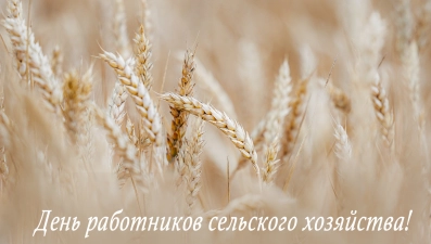 Руководители региона поздравили аграриев в Днём работника сельского хозяйства 