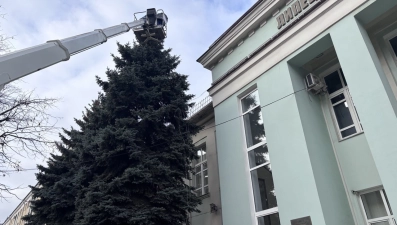 В Липецке начали украшать ёлки у здания горсовета