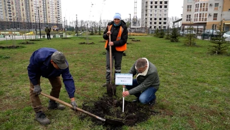 Компания ОДСК вместе с дирекцией парка «Европейский» высадила деревья в одноименном микрорайоне