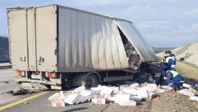 В Липецкой области водитель легковушки погиб после столкновения с большегрузом
