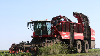 В Липецкой области собрали уже 2 миллиона тонн сахарной свёклы