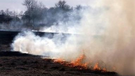 Пожарные ликвидировали возгорание травы на ул. Архангельской