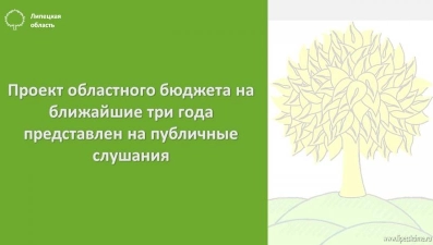 Проект областного бюджета на ближайшие три года представлен на публичные слушания