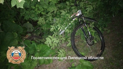 Водитель ВАЗа сбил насмерть велосипедиста в Усманском районе