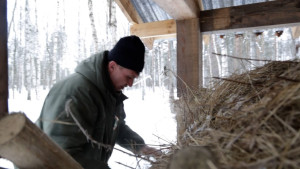 Липецкие лесные столовые охотнадзора кормят диких жителей в морозы