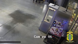 Подростки похитили деньги из призового аппарата в Данковском районе