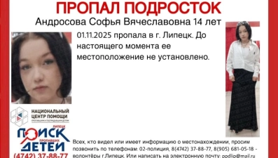 Пропавшую в Липецке 14-летнюю Софью Андросову нашли живой