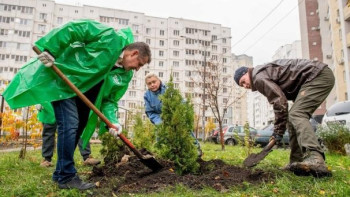 Фонд "Милосердие" сажает деревья на липецких улицах