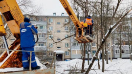 150 участков Липецка расчистят от сухих деревьев