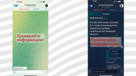 Мошенники подделали аккаунты руководителей Липецкой области