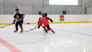 В Добровском округе открылась всесезонная ледовая арена