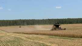 Уборочная кампания началась в Липецкой области