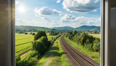 Медики рассказали, что случилось с пассажиркой поезда Волгоград - Москва в Липецке 