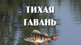 Тихая гавань. Эфир от 22 ноября 2012 года