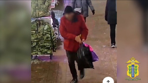 Житель Липецка предстанет перед судом за кражу сумки у пенсионерки в новогоднюю ночь