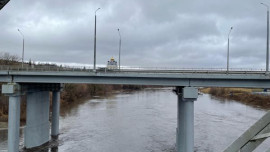 Ельчанин погиб, спрыгнув с моста в Быструю Сосну