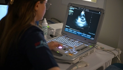 Более 6000 сотрудников НЛМК приняли участие в осенней Неделе здоровья