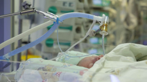 В Липецком областном перинатальном центре ежегодно выхаживают более 350 недоношенных малышей