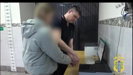 В Липецке 19-летняя девушка оказалась участницей мошеннической схемы на 6,7 млн рублей