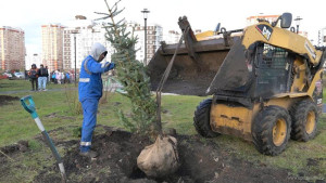 «Милосердие» и НЛМК высадили деревья и кустарники на Минской в Липецке