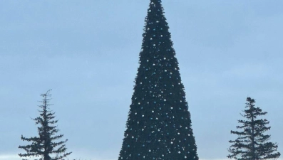 Новогодняя елка на Соборной площади в Липецке «поклонилась» ветру