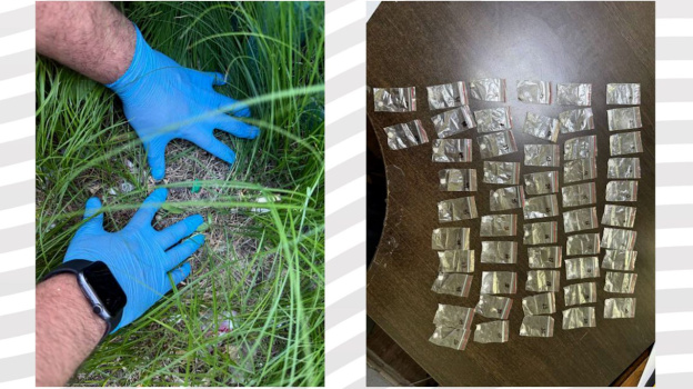 В Липецке иностранца обвиняют в покушении на сбыт наркотиков в крупном размере