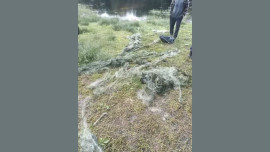 В Липецкой области охотнадзор задержал браконьера в заказнике