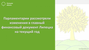 Парламентарии рассмотрели изменения в главный финансовый документ Липецка на текущий год