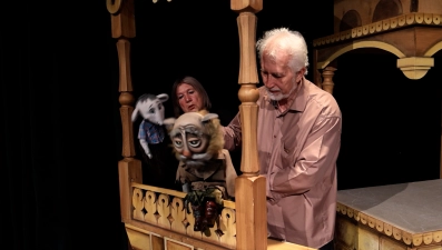 Спектакль с использованием ИИ покажут в липецком Театре кукол