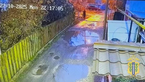 Липчанин спас кошку соседки, а потом обокрал её