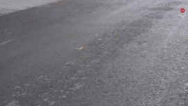 В 2026 году в Липецке по нацпроекту дополнительно отремонтируют 3 дороги