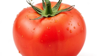 117 тысяч тонн овощей собрали аграрии Липецкой области