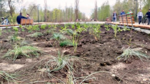 На «километровке» у Нижнего парка высадили почти четыре тысячи многолетних цветов