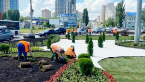 На кольцевой развязке в районе Петровского рынка специалисты «Зеленхоза» разбили клумбу