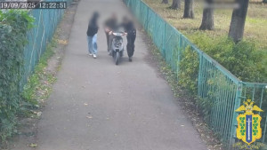 В Липецке суд рассмотрит вопрос о воспитательных мерах для подростков, укравших мопед
