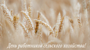 Руководители региона поздравили аграриев в Днём работника сельского хозяйства 