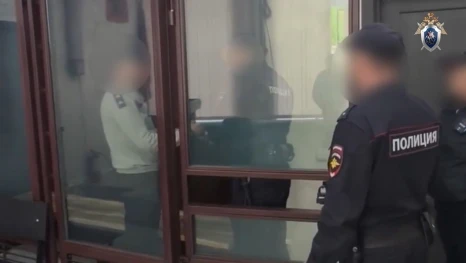 Ельчанина будут судить за жестокое нападение на пятилетнюю девочку