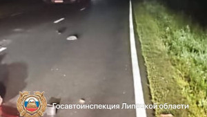 В Липецкой области ищут водителя ВАЗа, сбившего насмерть пешехода под Лебедянью