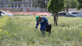 На Новолипецком металлургическом комбинате завершилась традиционная экологическая акция «Территория чистоты»
